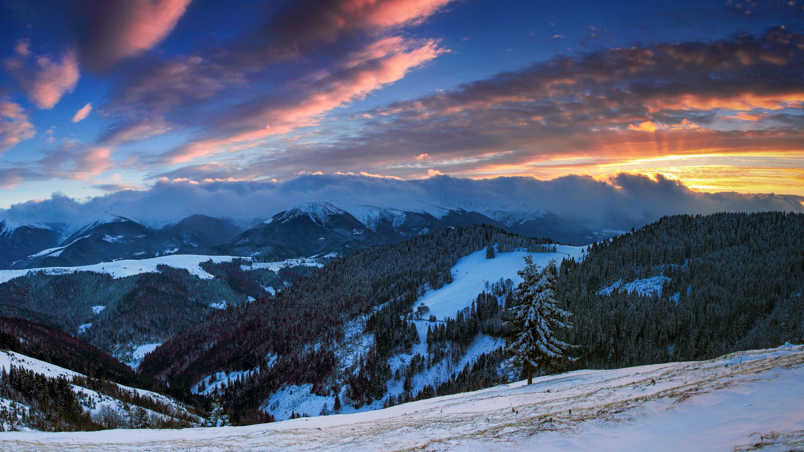 Панорама Архыз снежный