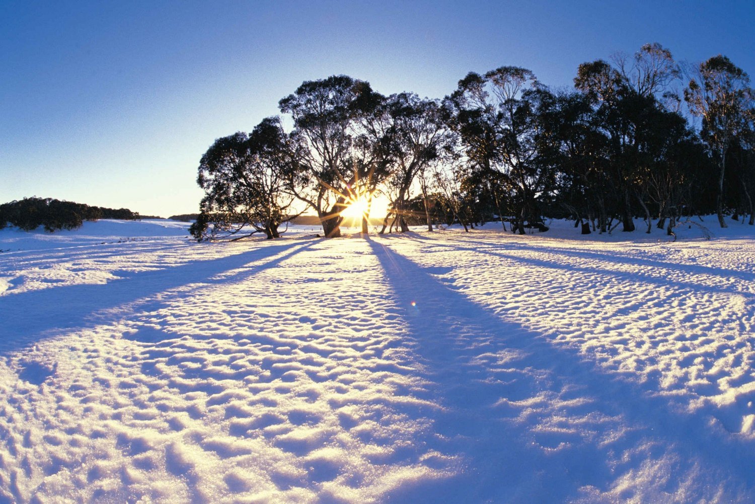 Бывает зимняя бывает летняя. Зима в Австралии. Снег в Австралии. Зима в Австралии фото. Снег в Мельбурне.