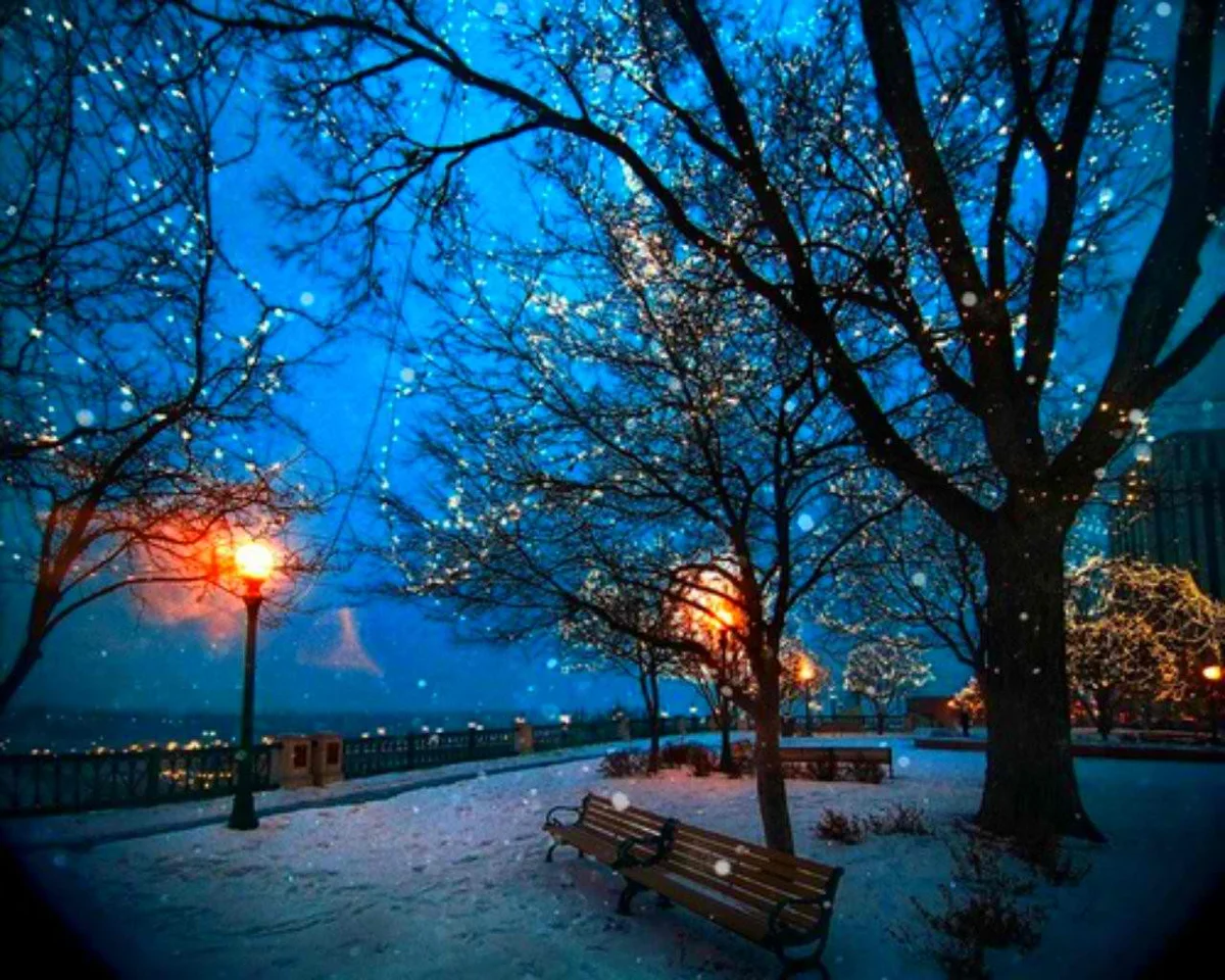 Зима в городе. Зимний парк ночью. Зимняя ночь в городе. Зима. К вечеру.