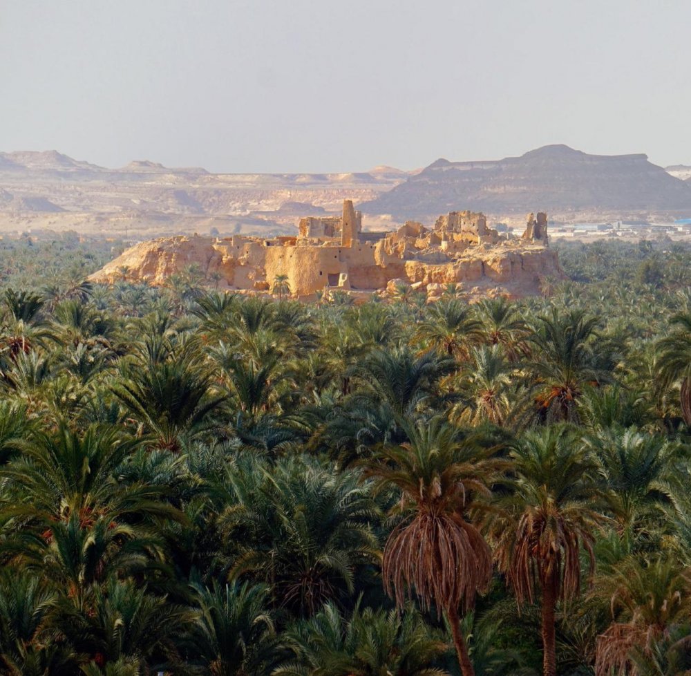 Оазис Сива и Западная сахара