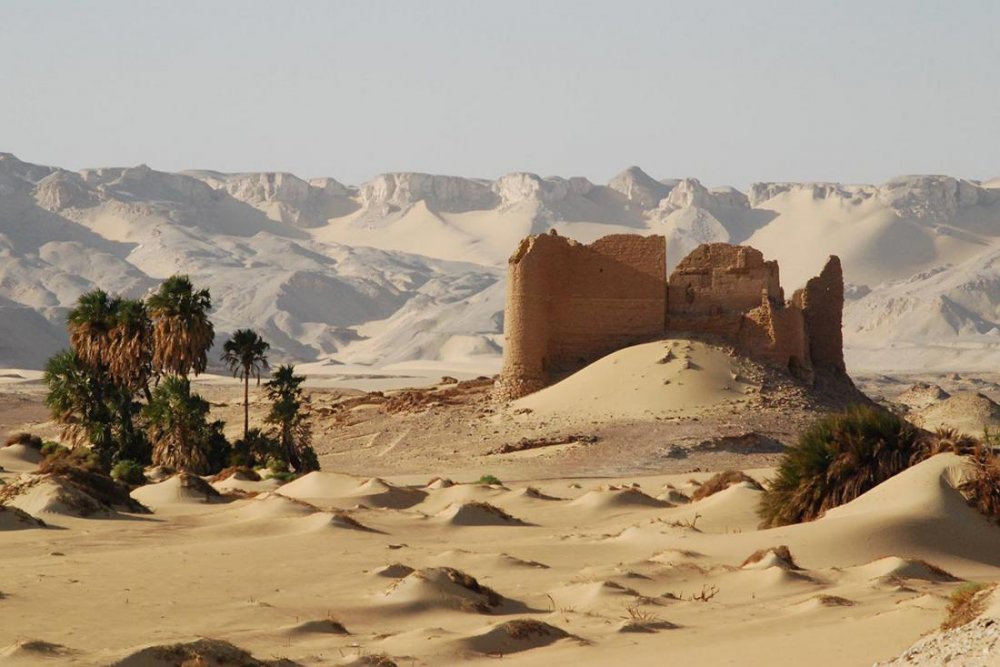 Оазис Харга Египет