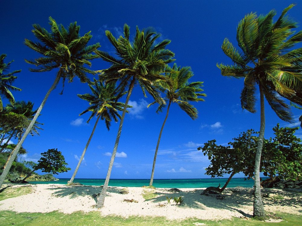 Остров Кайо Левантадо Доминикана