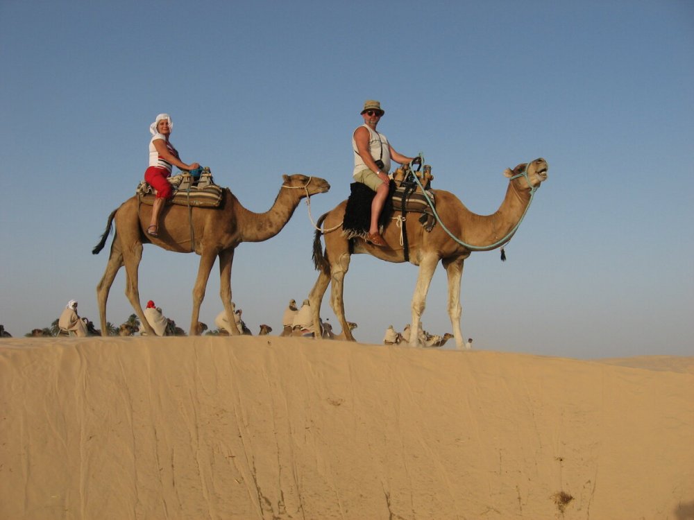 Тунис пустыня сахара экскурсия