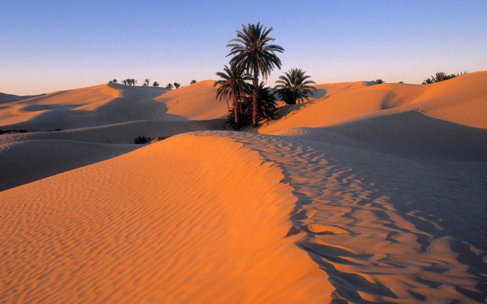 Пустыня сахара Ливийская Намиб Калахари