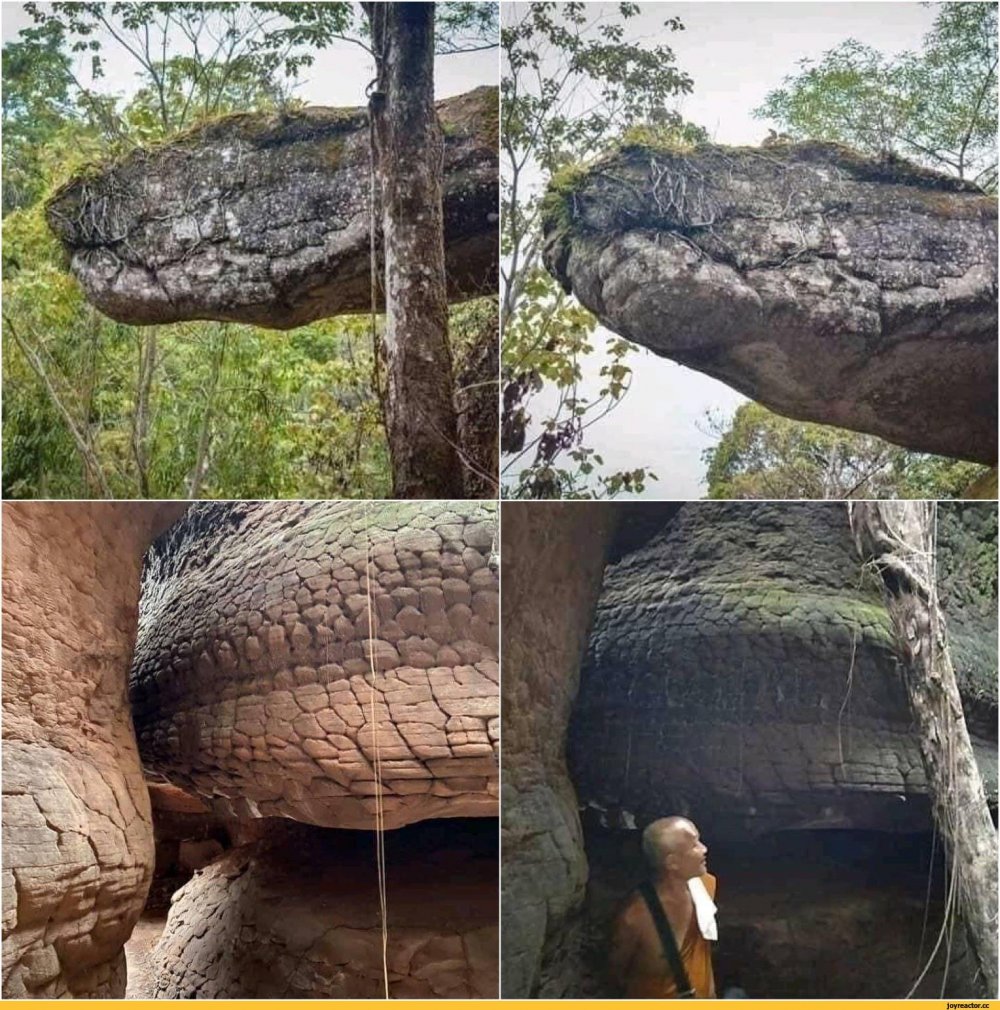 Каменная змея в Тайланде
