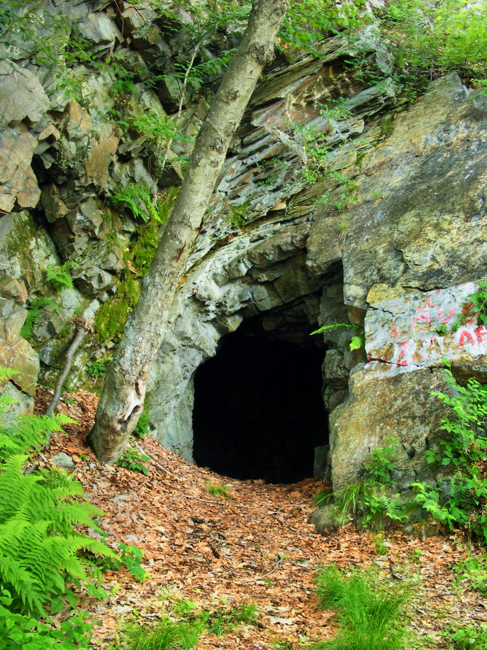 Деветакская пещера