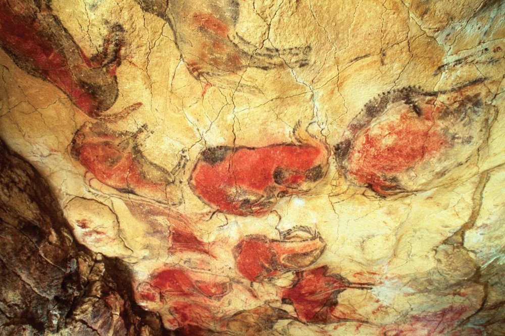 Бизон пещера Альтамира
