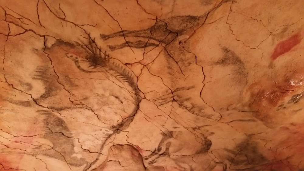 Пещера Альтамира тектиформы