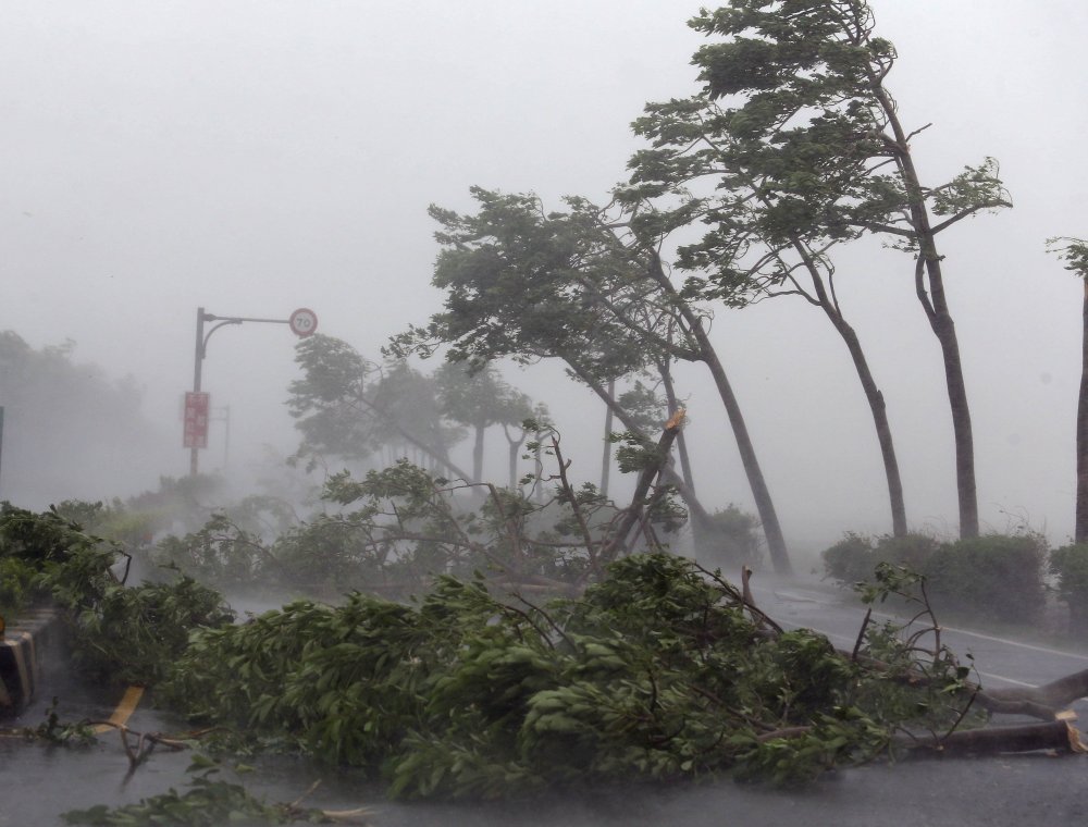Стихия тайфуна Наруто