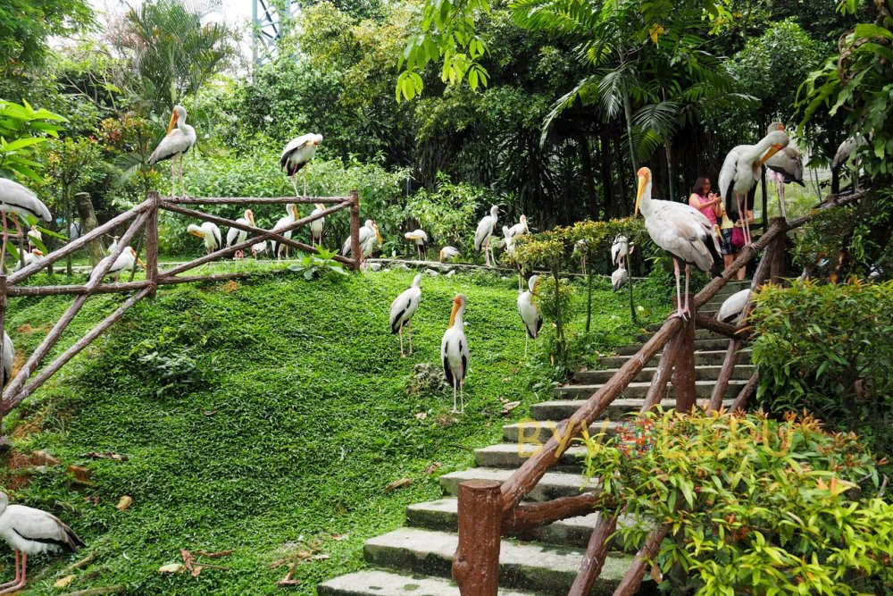 Парк птиц Малайзия Куала-Лумпур