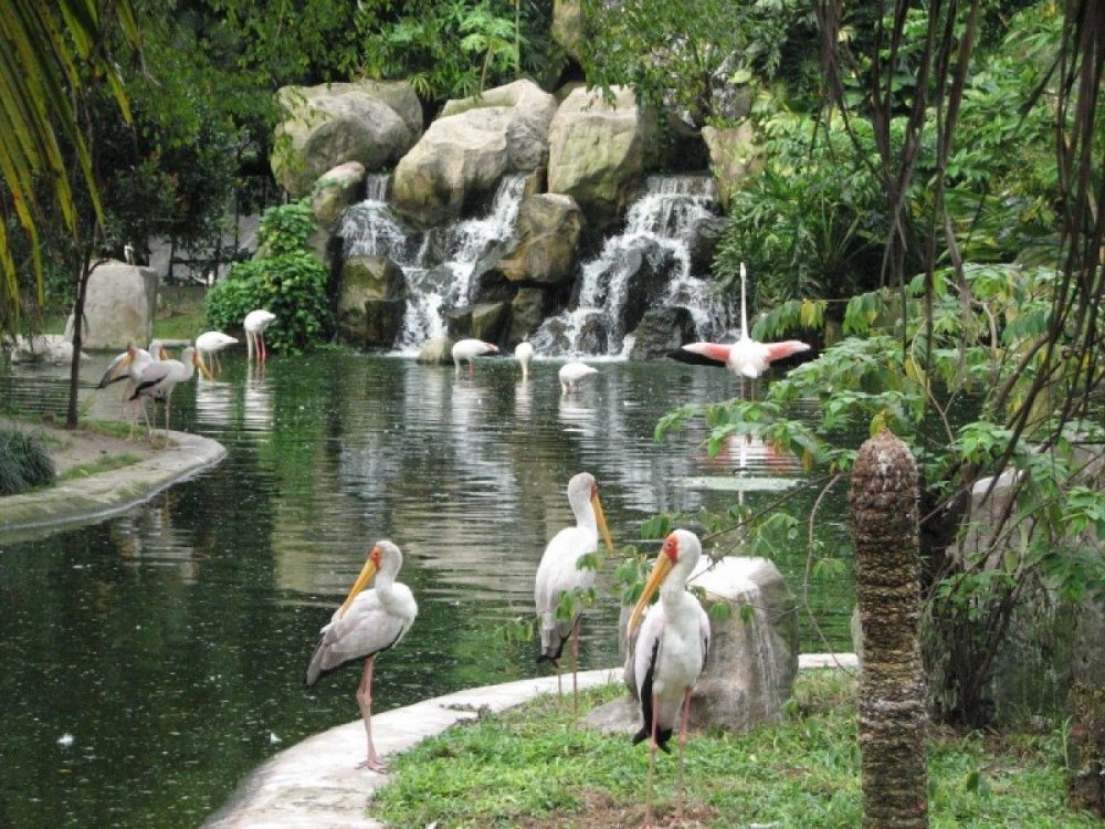 Куала-Лумпурский парк птиц