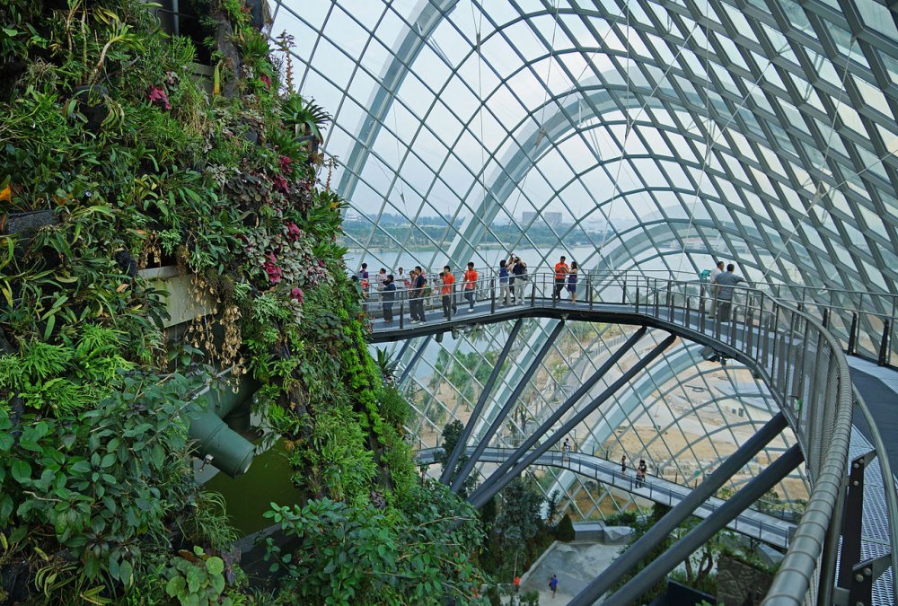 Гарден Бэй Сингапур оранжерея