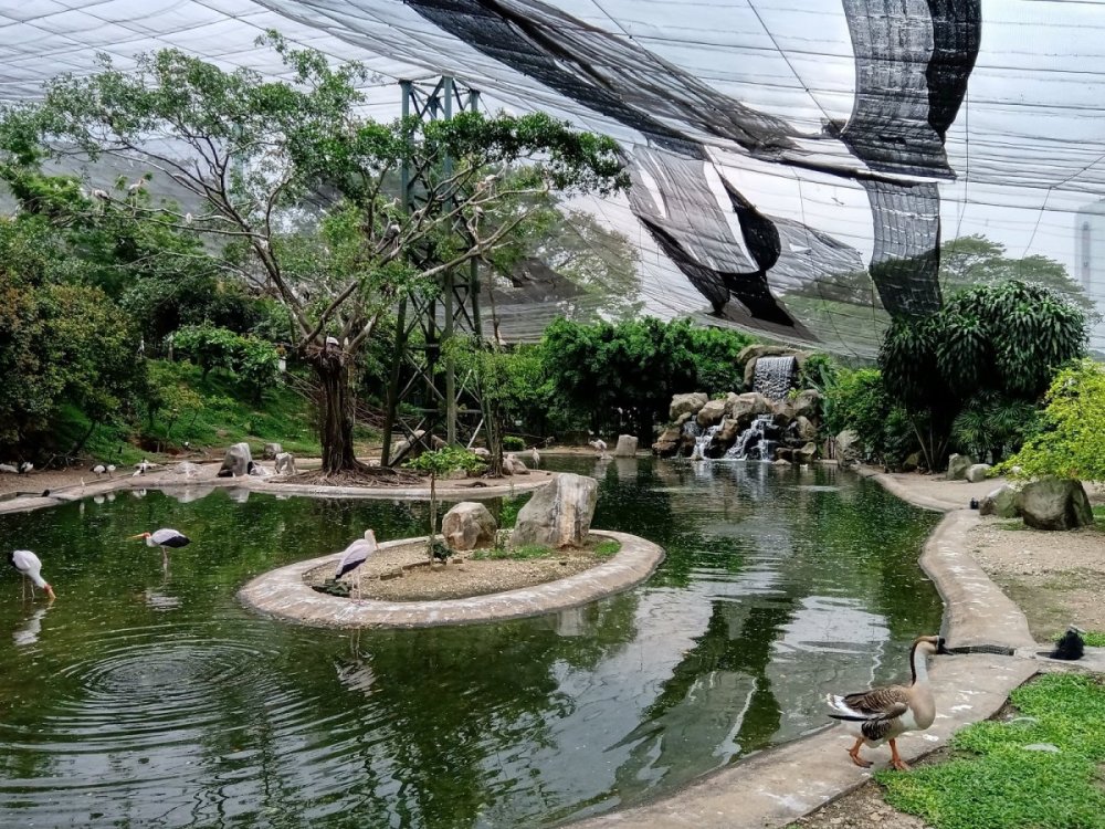 Зоопарк Куала Лумпур
