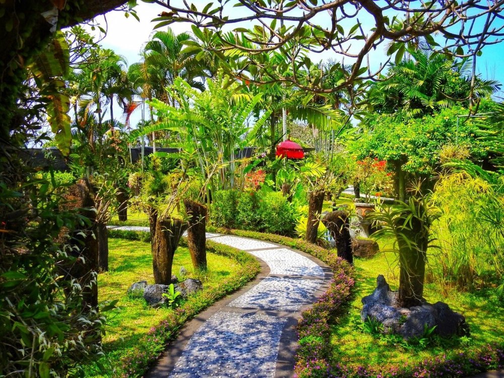 Сад орхидей Бали
