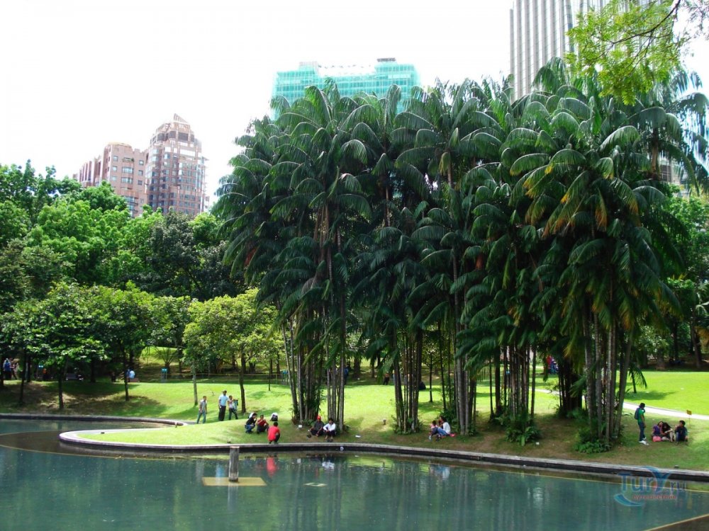 Прогулки по экзотическим паркам Куала Лумпура