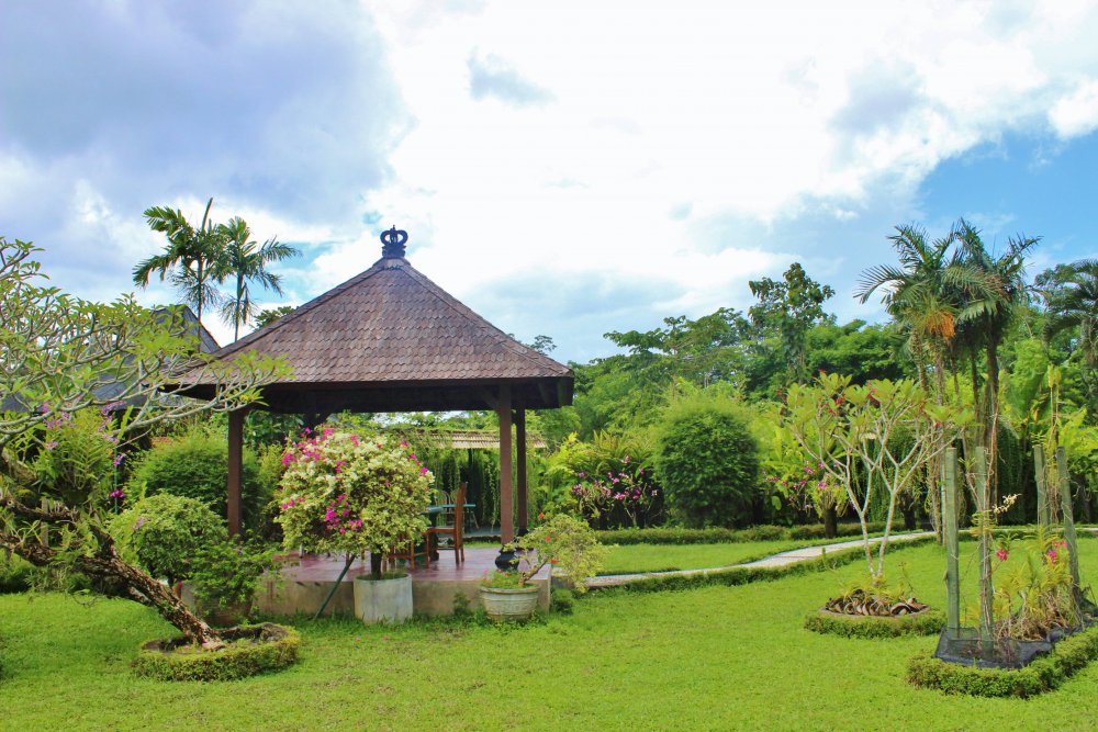 Ботанический сад с орхидеями на Бали
