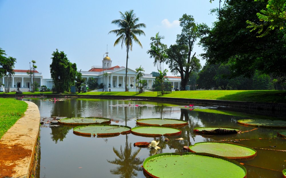 Богорский Ботанический сад Индонезия