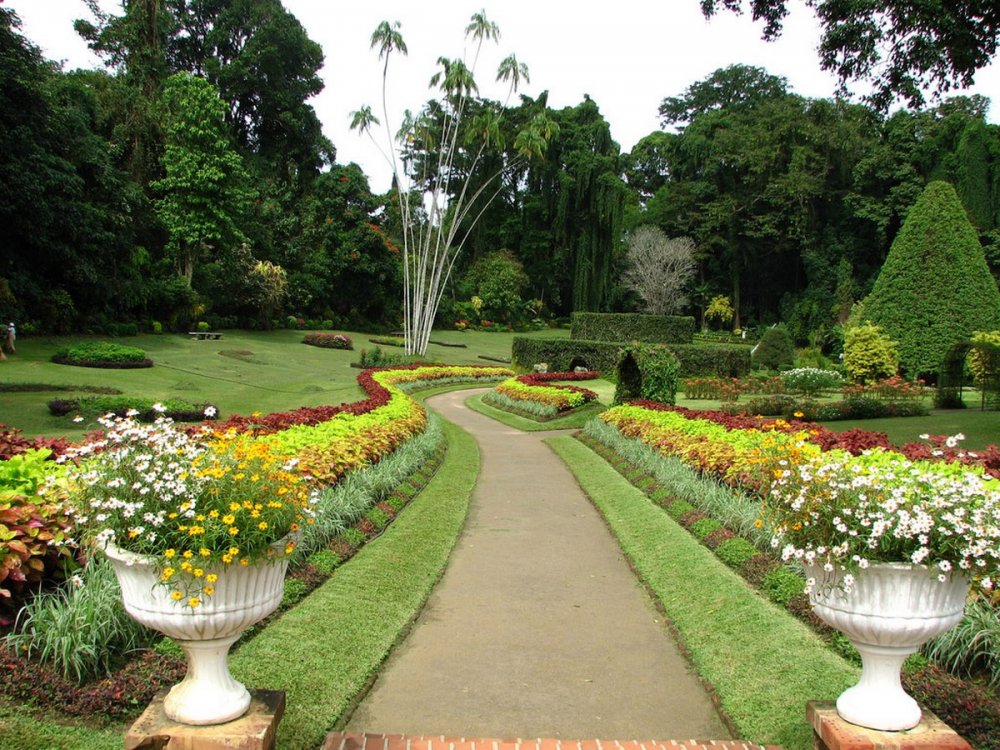Ботанический сад Антуанетта