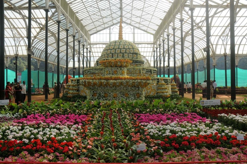 Индия Бангалор Ботанический сад