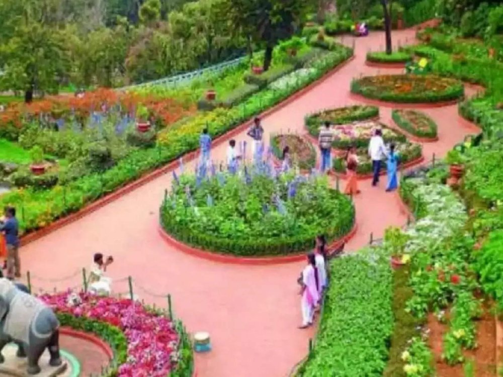 Ботанический сад в Индии