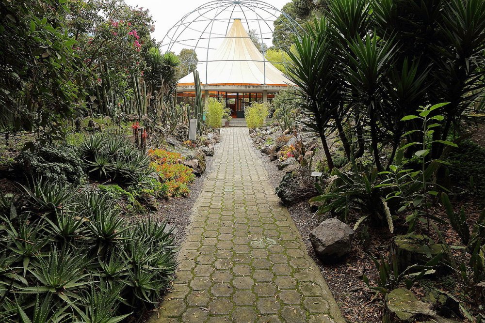 Сад ботанико Карлос Тайс