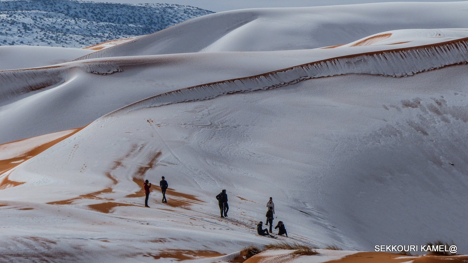 Сахара 2 жизни. Снег в пустыне сахара 2021. Алжир сахара. Пустыня зимой. Снежные пустыни.