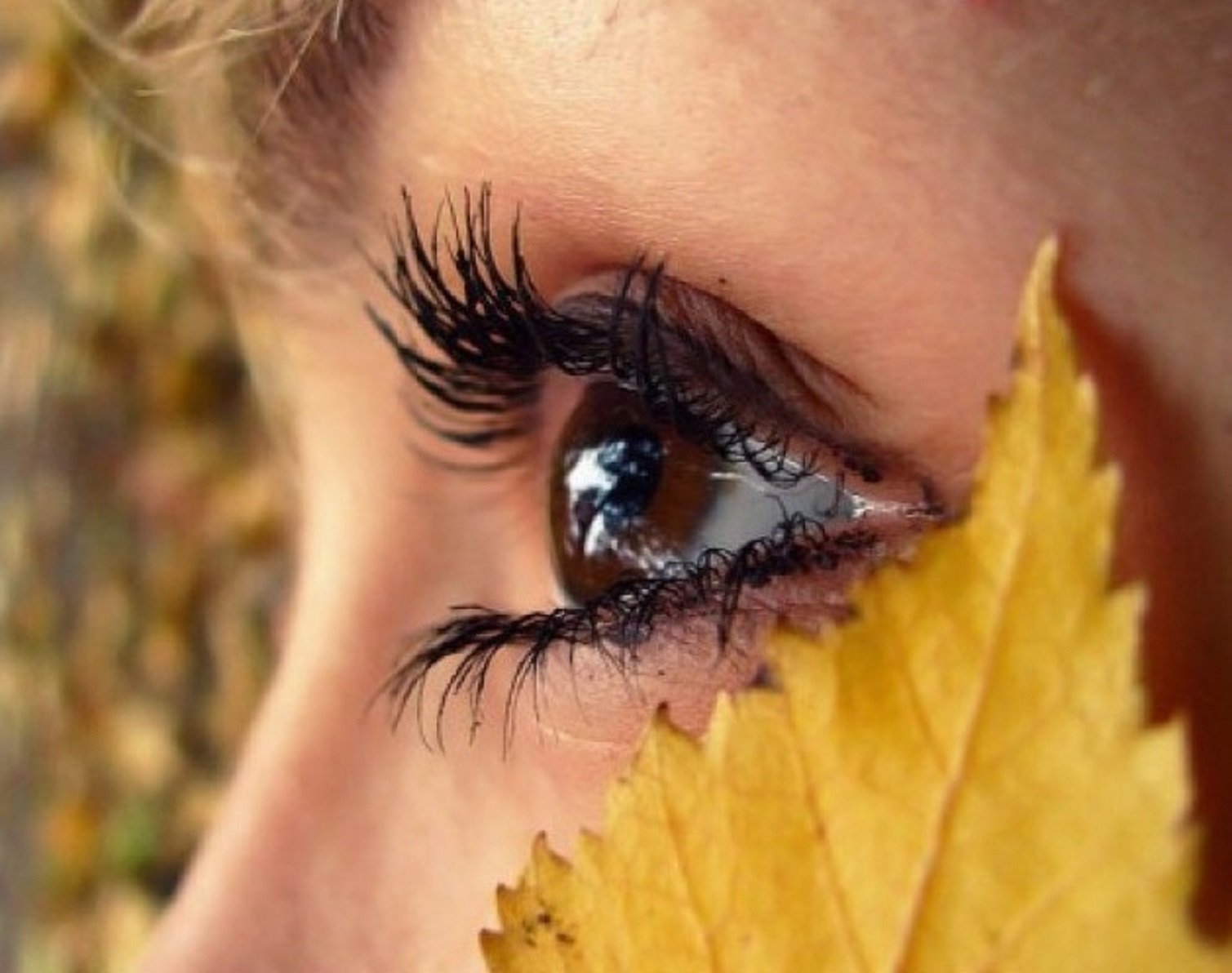 Слезы желтого цвета. Глаза женщины. Красивые женские глаза. Красивые девушки с карими глазами. Осень в глазах.