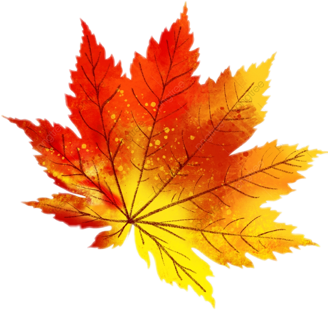 Осенний лист рисунок. Осенние листья. Осенний листок. Кленовый лист. Осенние листочки картинки.