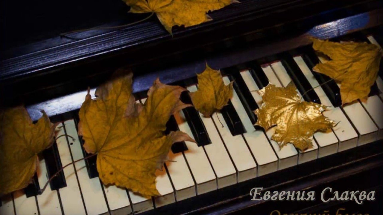Под шум осенней желтой листвы песня