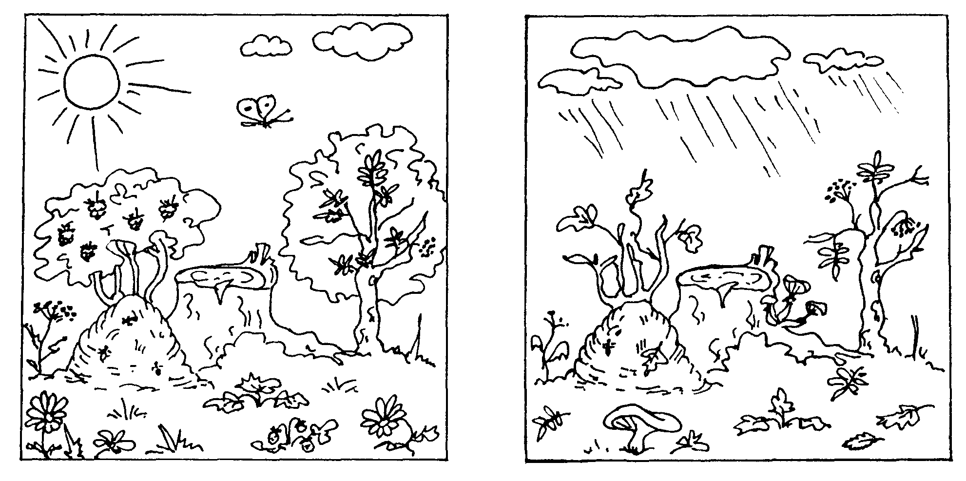 Рисунки на тему «Осень» для срисовки