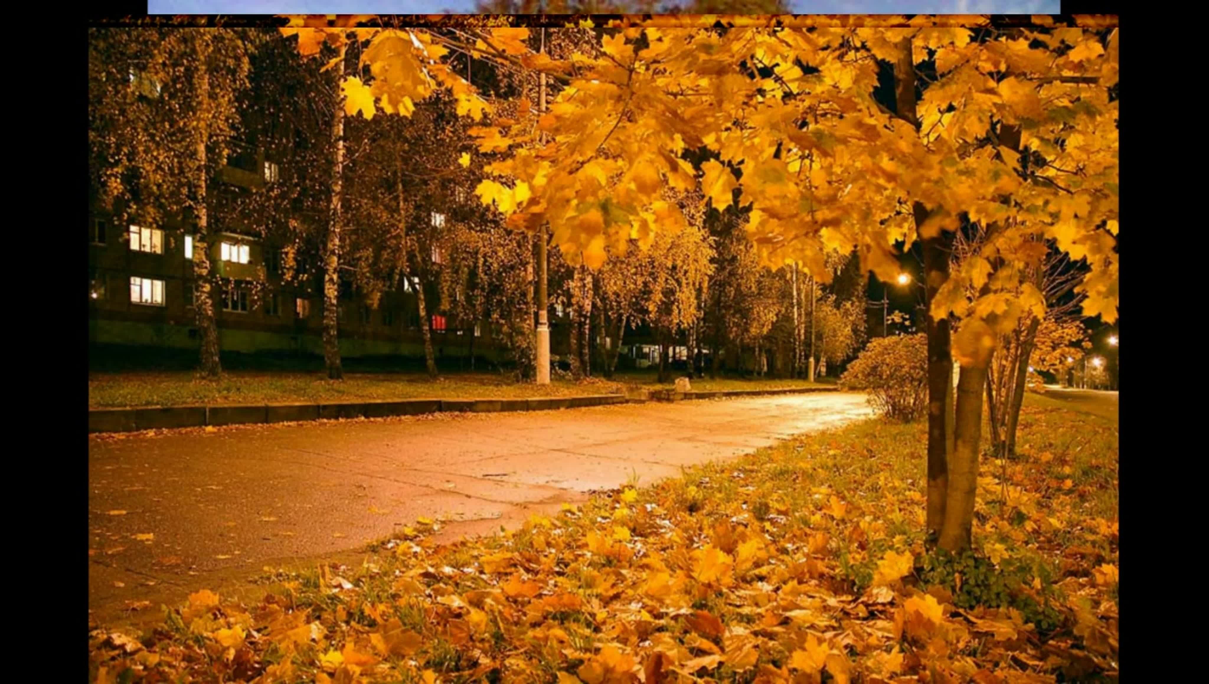 Конец сентября вечер. Осень в городе. Осенние картинки. Осенняя ночь. Осенний парк вечером.