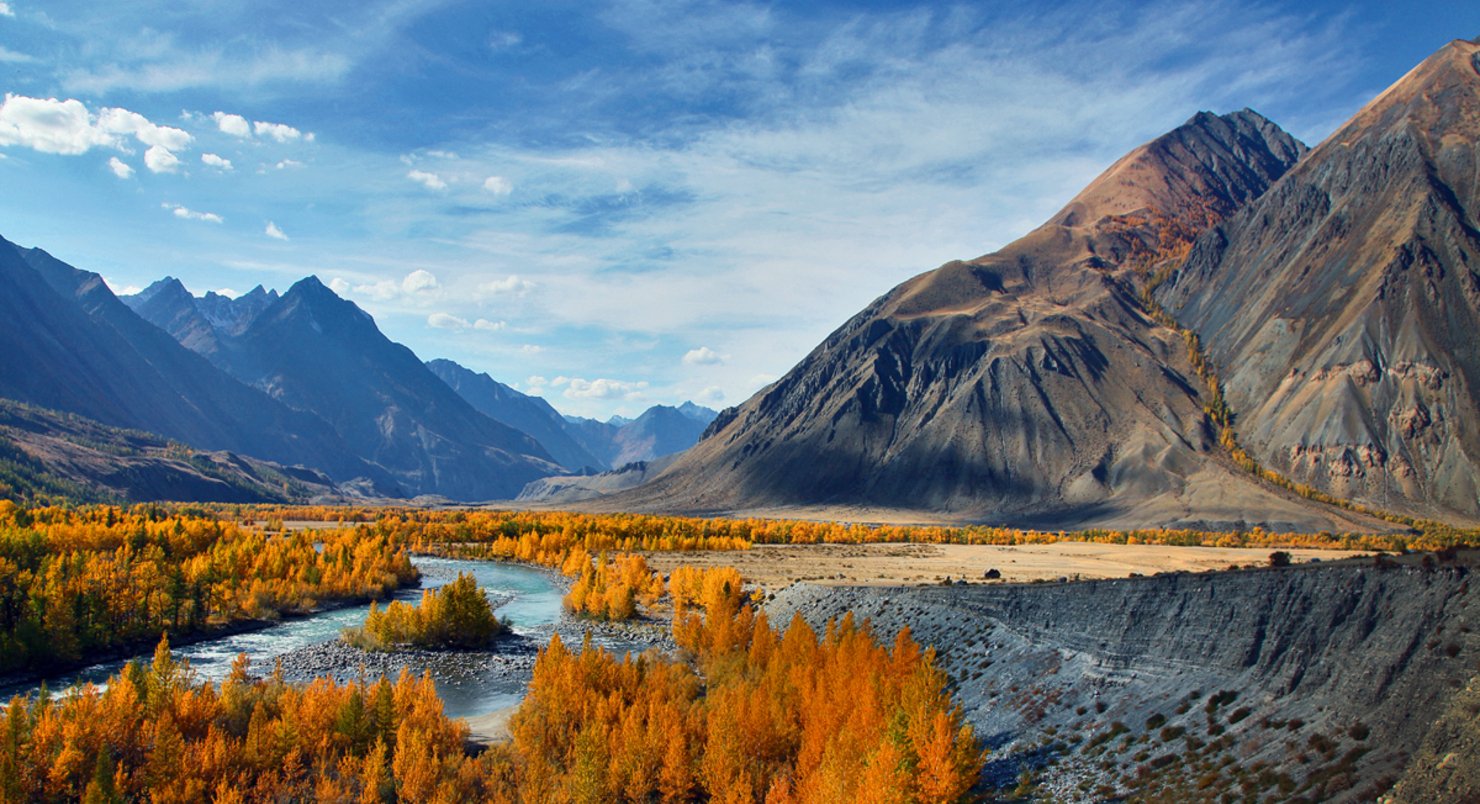 Золотая гора фото. Горный Алтай золотые горы Алтая. Золотые Алтайские горы ЮНЕСКО. Бийск горы Алтая. Горный Алтай горы осень.
