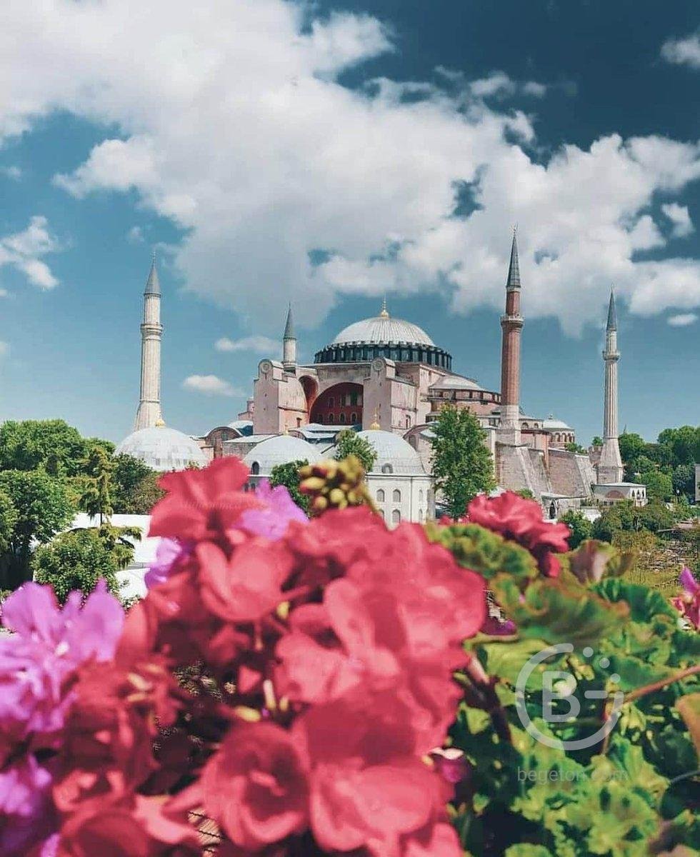 Тур в стамбул из минеральных вод. Султанахмет Стамбул тюльпаны. Стамбул мечеть Магнолия. Стамбул район байрам. Природный парк шамлар Стамбул.