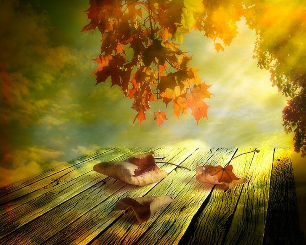 Вдруг среди листвы видишь. Осень солнце. Осенняя грусть. Осенний день. Сказочная осень.