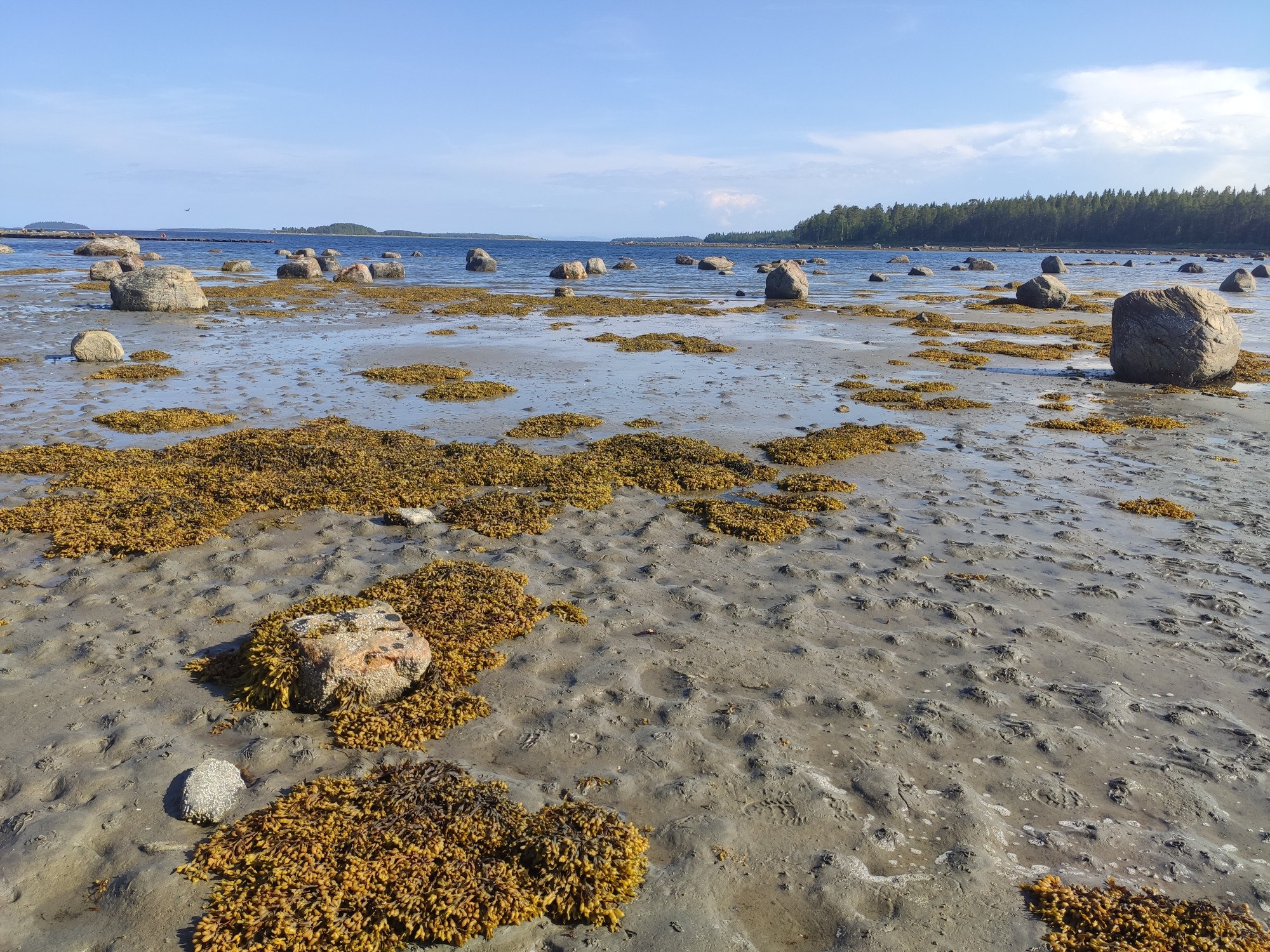 Остров средней море. Белое море. Острова белого моря. Кандалакша залив белого моря. Где белое море.