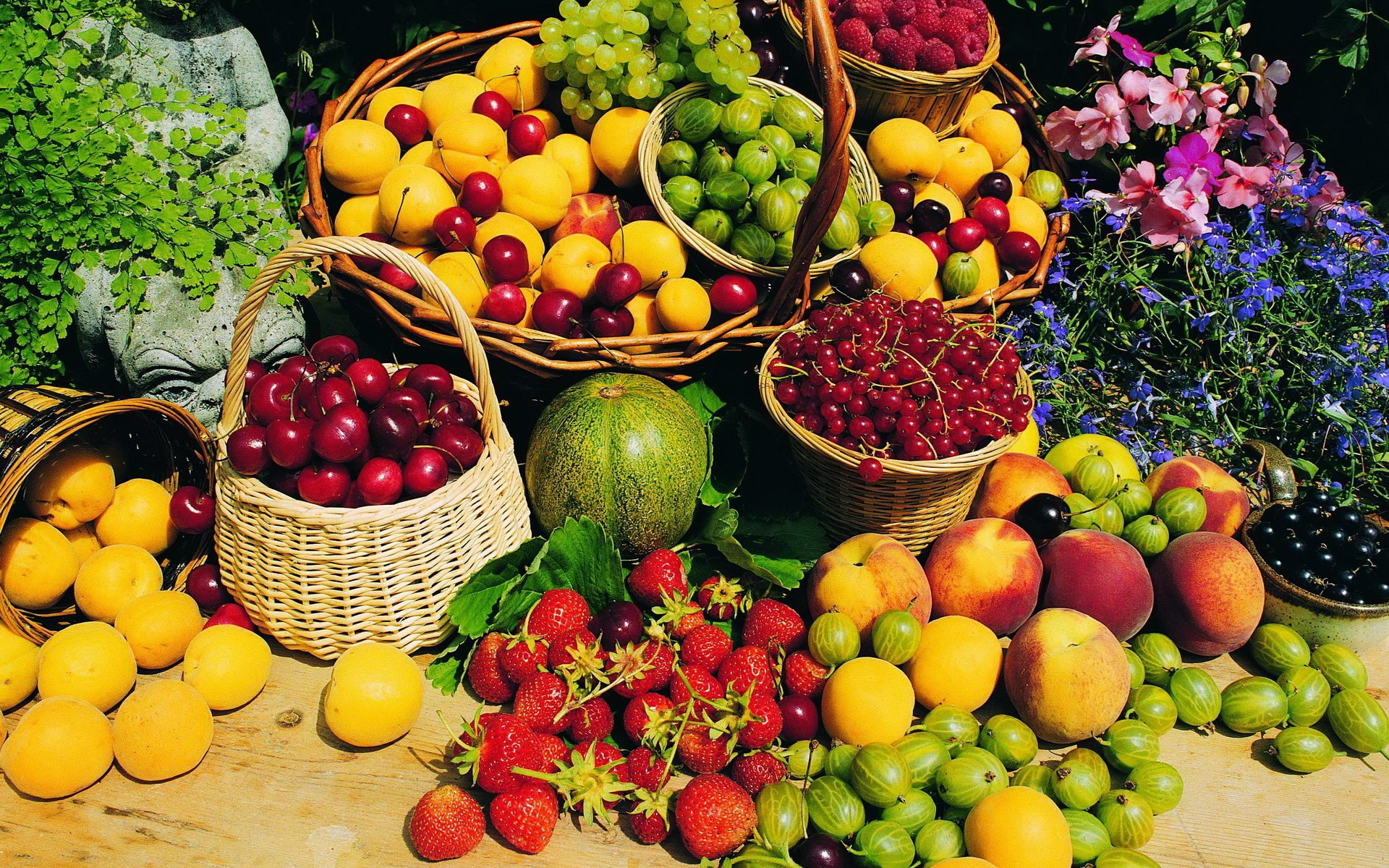 Урожай фруктов. Фрукты и ягоды. Летние фрукты. Овощи, фрукты, ягоды.