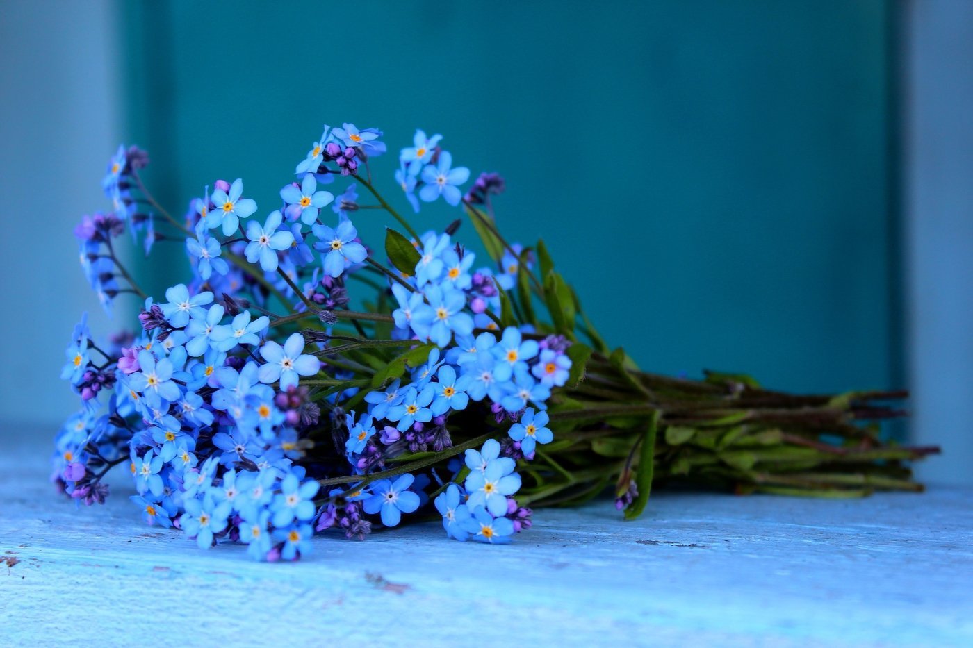 Flowers were beautiful. Букет незабудок. Незабудка цветок букетик. Букет из незабудок. Красивый букет из незабудок.