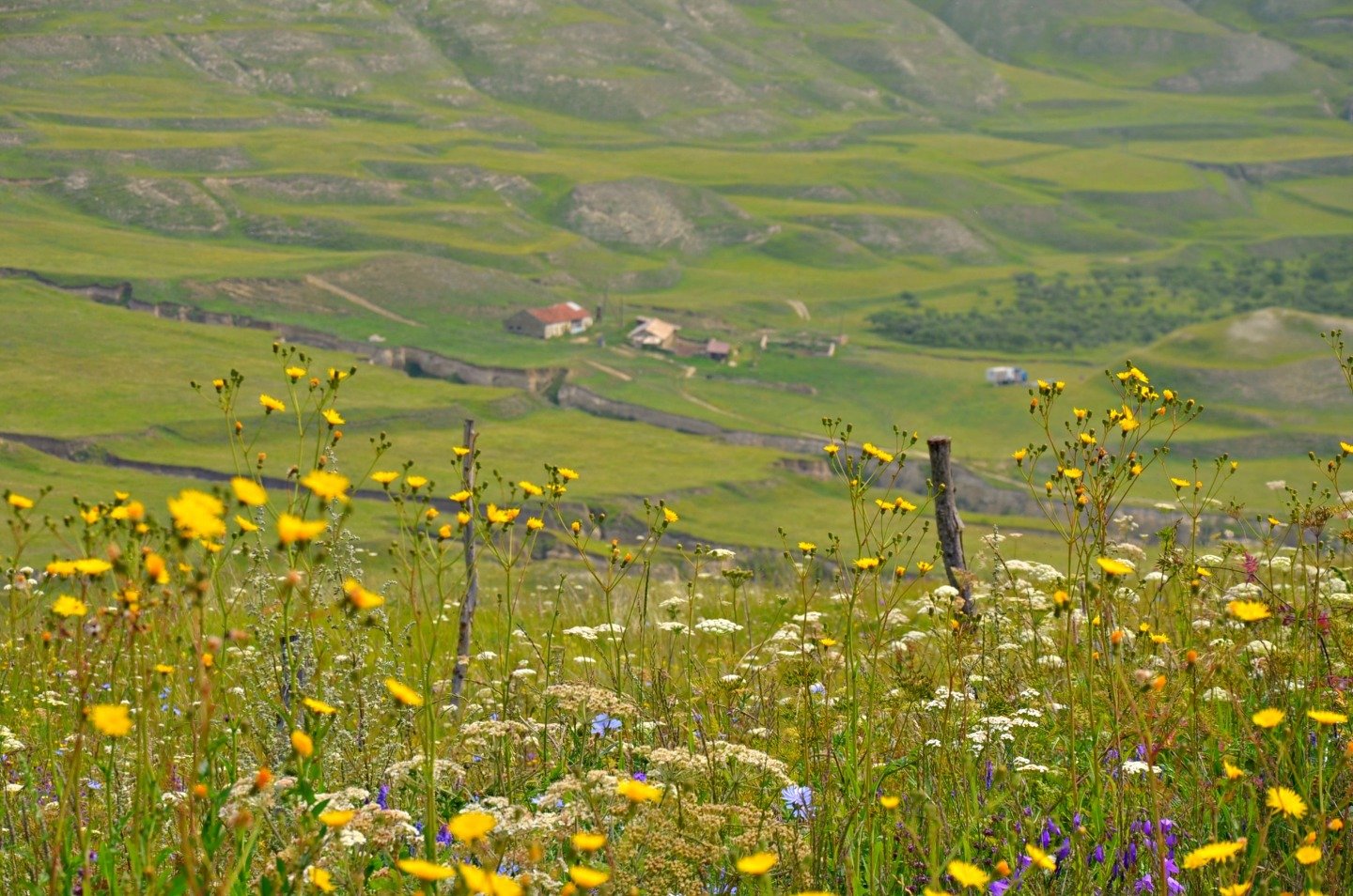 Луга Башкортостана