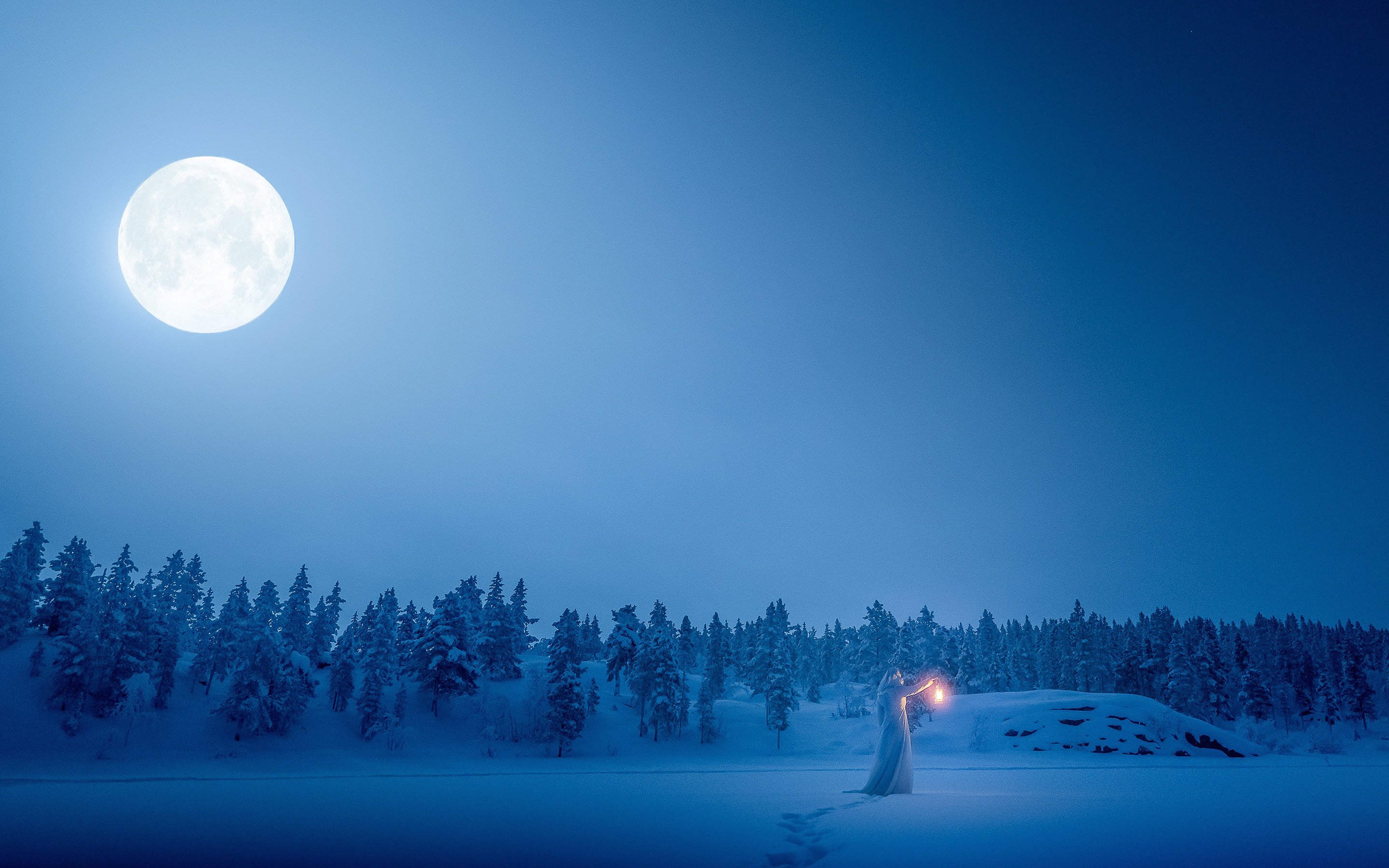 Луна зимой ночью. Зимняя ночь. Ночь снег Луна. Зима ночь Луна. Зимний ночной пейзаж.