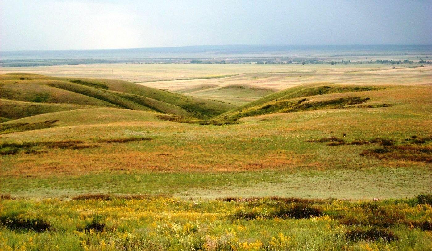 Северо казахстанская равнина. Иргиз-Тургайский резерват. Сарыарка — степь Северного Казахстана. Сарыарка - степи и озёра Северного Казахстана. Степи Актобе.