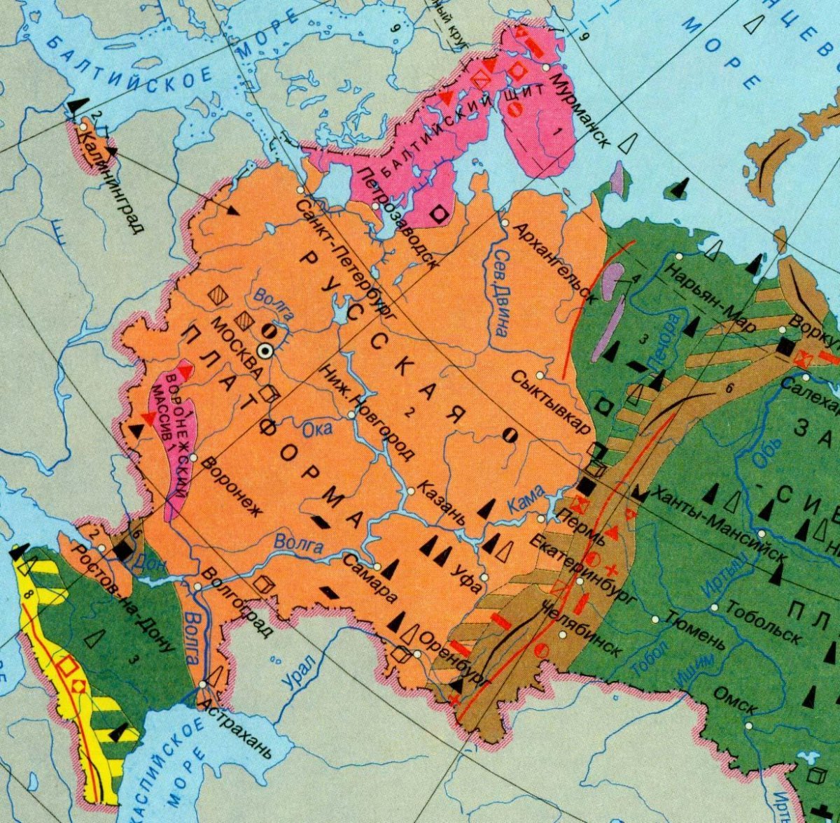 Восточно-европейская равнина на карте, описание и характеристики