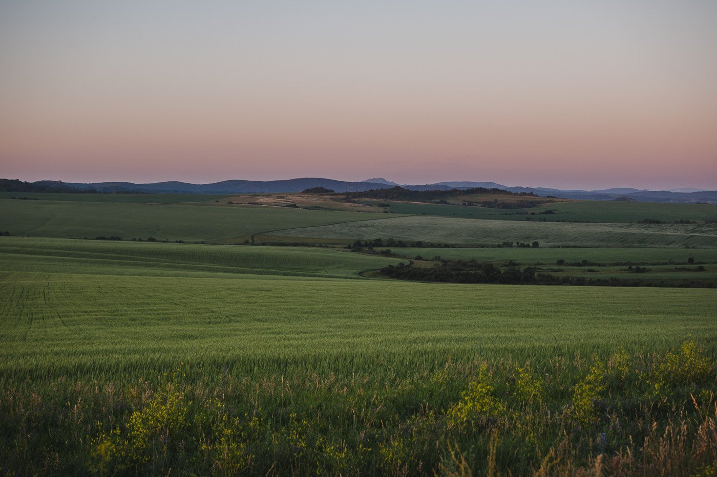 Great russian plain