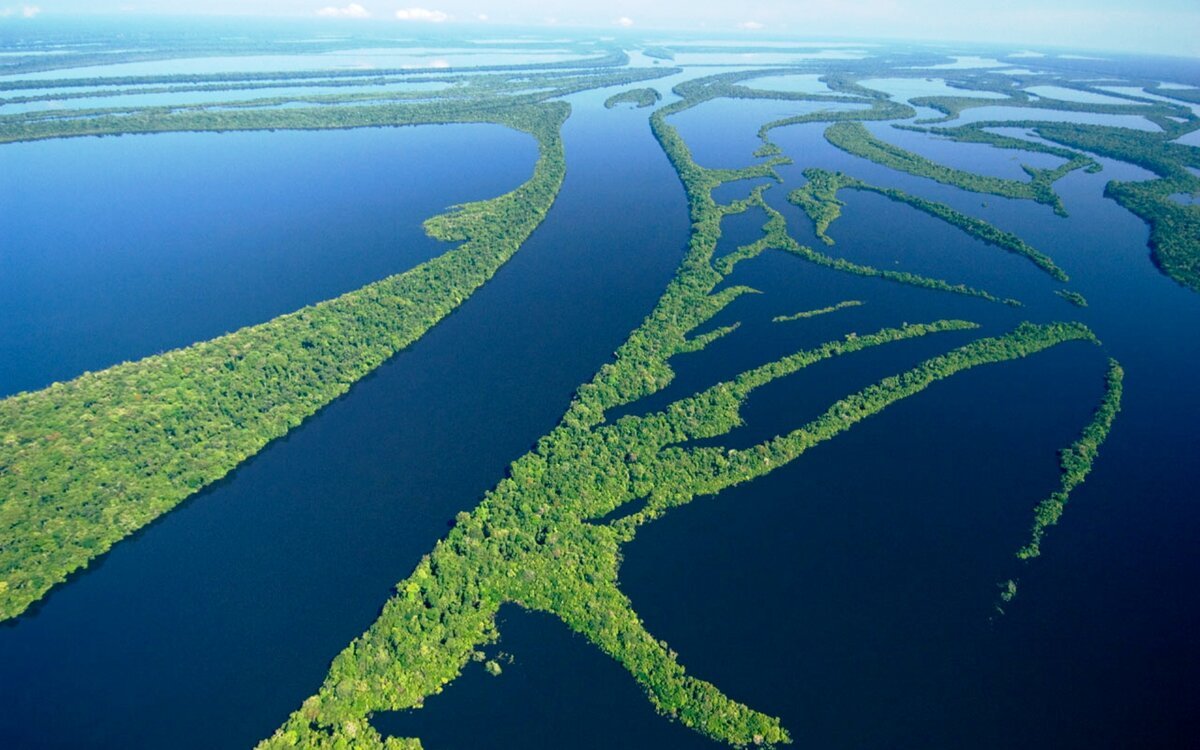 Какие крупные реки находятся на амазонской низменности. Укаяли Исток. Дельта Миссисипи. Дельта реки Амазонка. «Амазония» (Манаус, Бразилия).