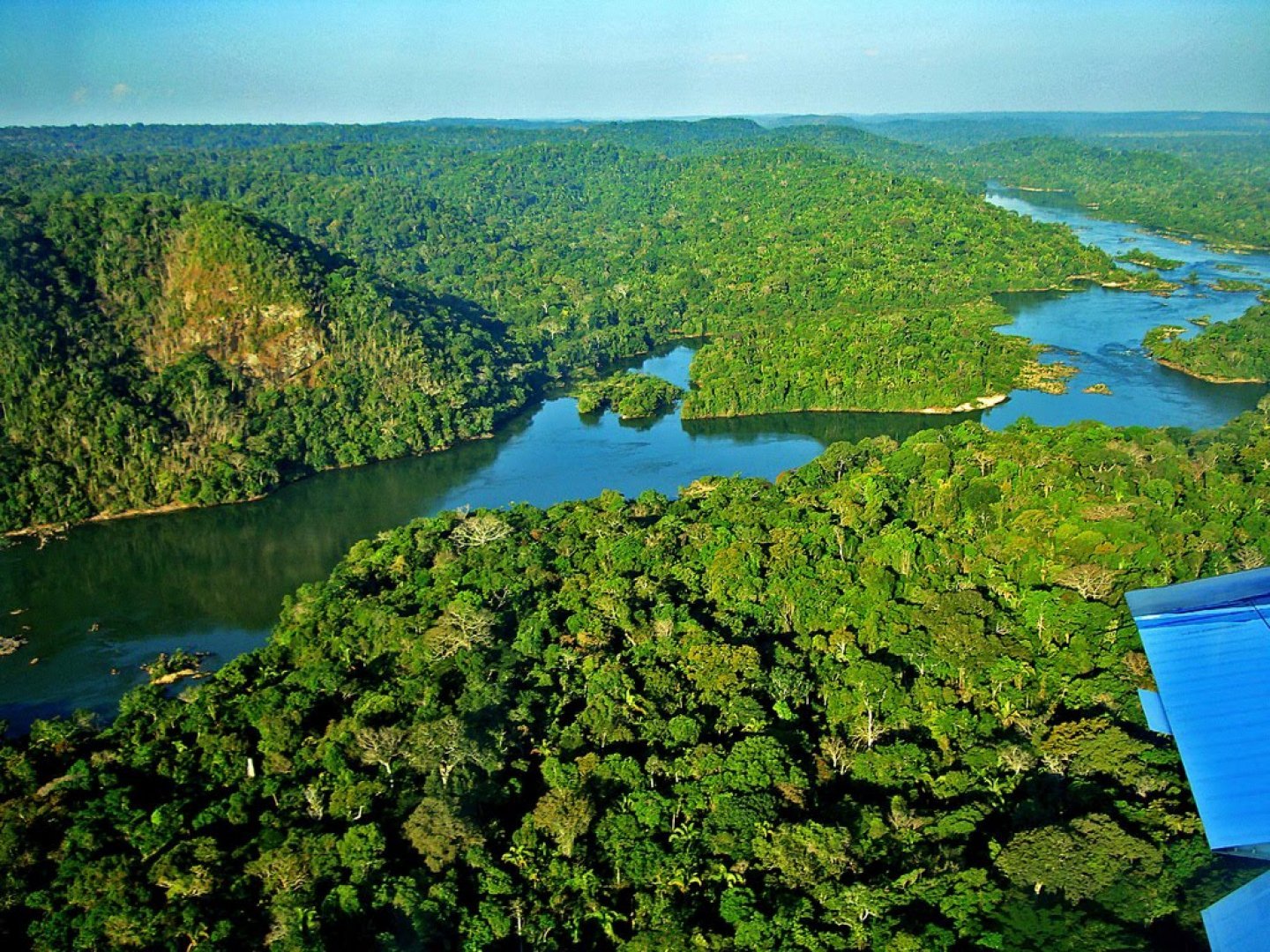 Крупные озера бразилии 7 класс. Бразилия Амазонская низменность. Гвианская Амазония национальный парк. Амазонская Сельва Бразилии. Штат Токантинс Бразилия.