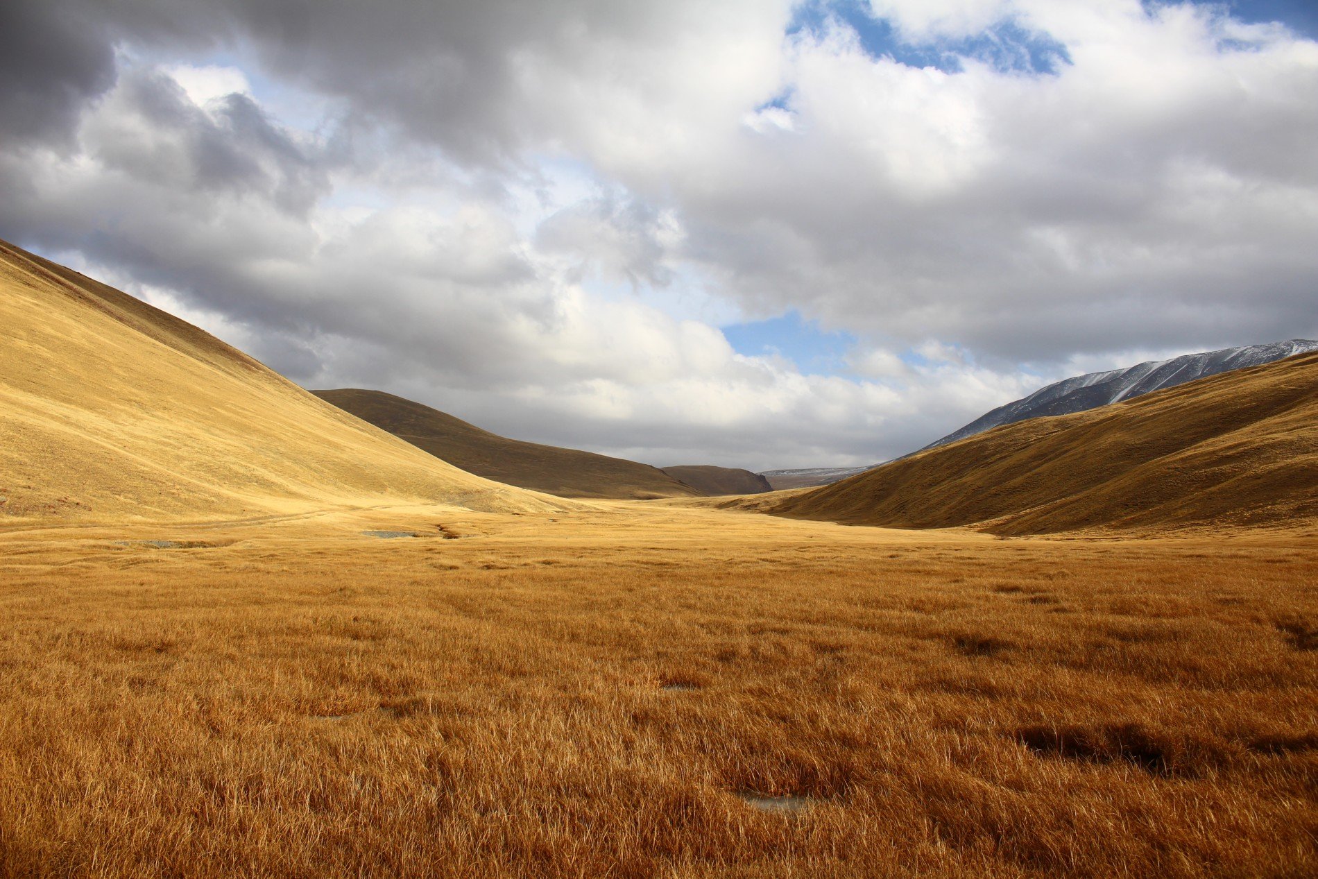Природа жаждущих. Сайлюгемский хребет. Сайлюгемский хребет Республика Алтай. Сайлюгемский национальный парк официальный сайт. Сайлюгемский национальный парк Барханы.