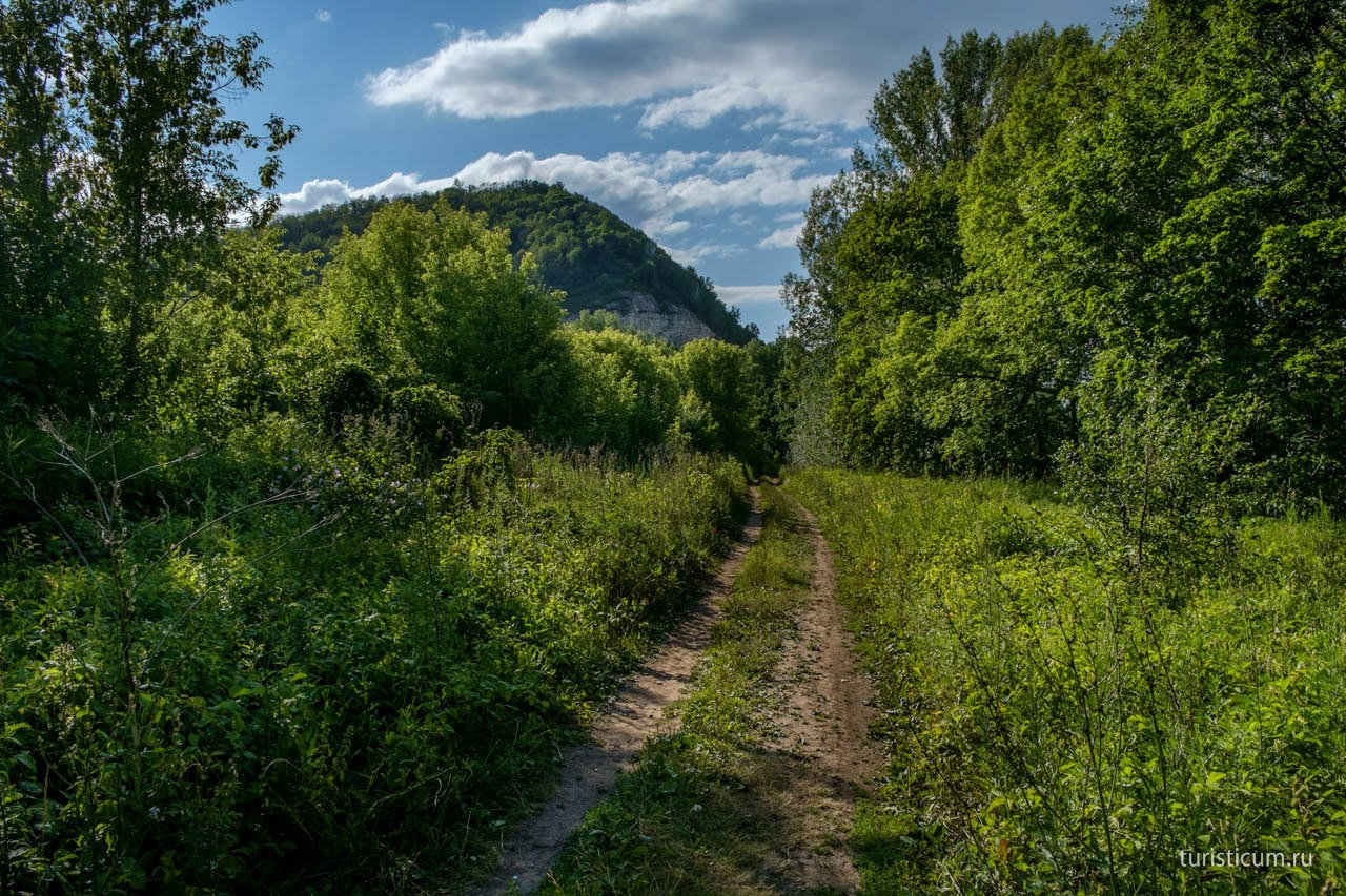 Поляна самара. Гаврилова Поляна. Гаврилова Поляна Самарская область фото. Гаврилова гора. Поляна Убинское.