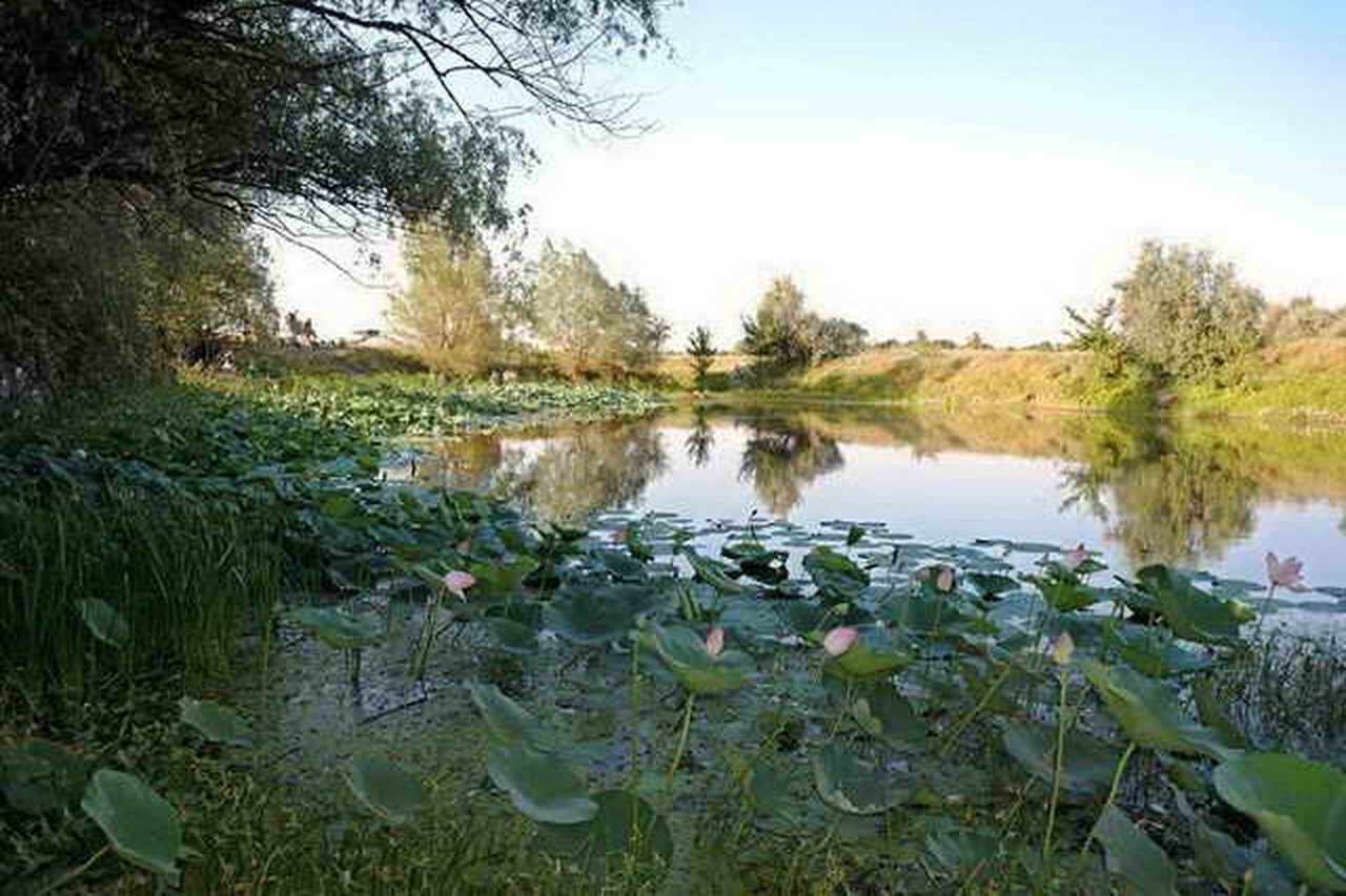 Село лебяжье астраханская область. Волго-Ахтубинская Пойма. Волго-Ахтубинская Пойма природный парк. Озера Волго Ахтубинской Поймы. Ахтубинская Пойма Волгоград.