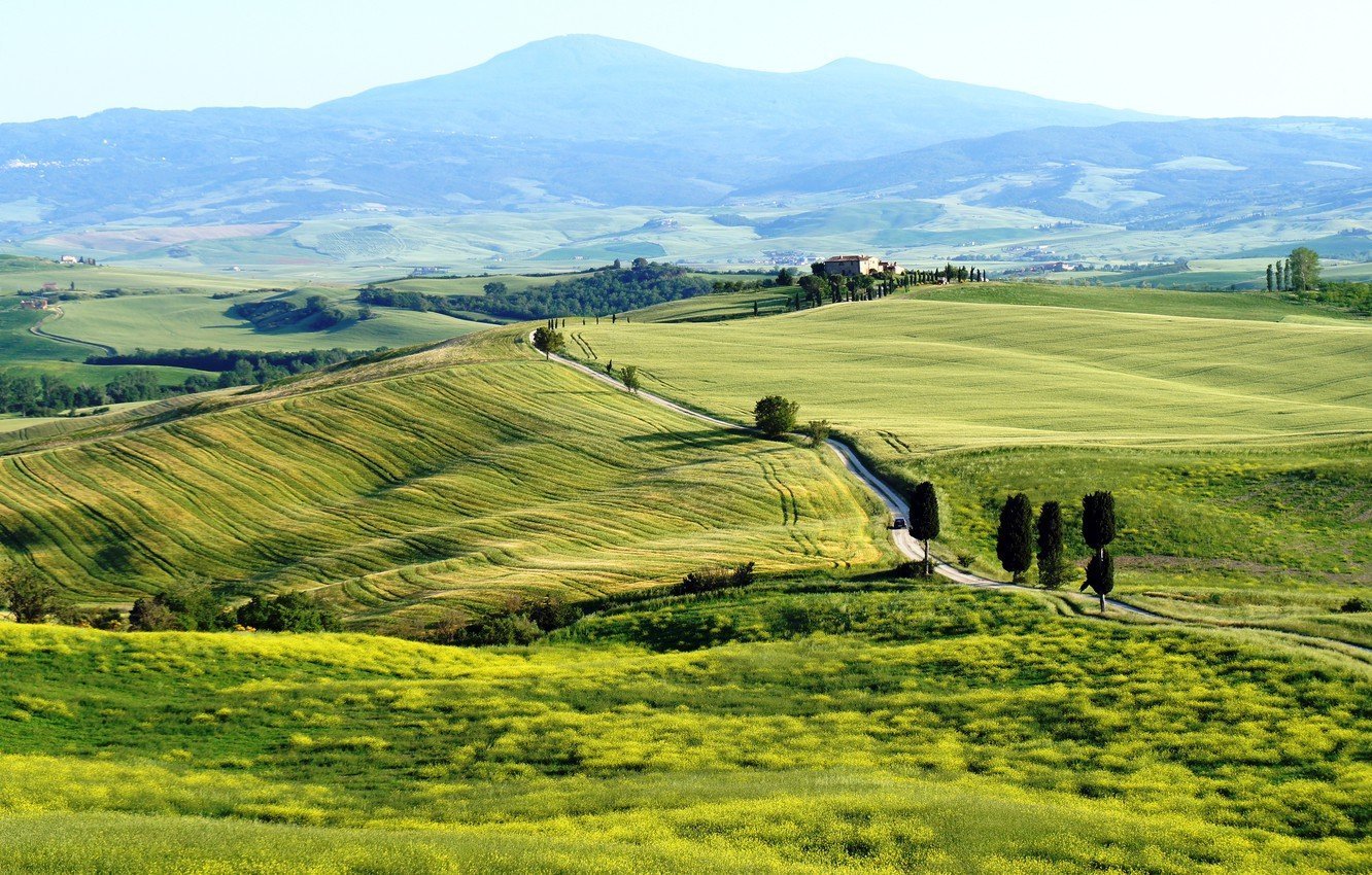 Какая равнина раскинулась