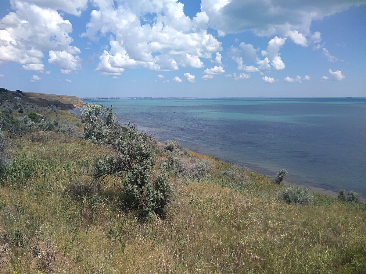 Самый теплый крым. Село заветное Керчь. Крым Керчь заветное. Поселок заветное Крым. Село заветное Крым Ленинский район.