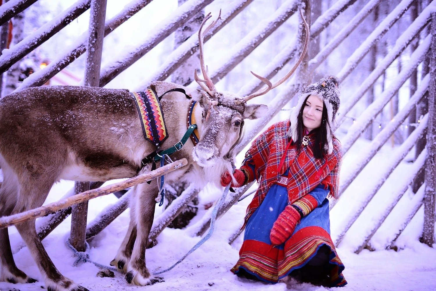 Лапландия саамы жилище